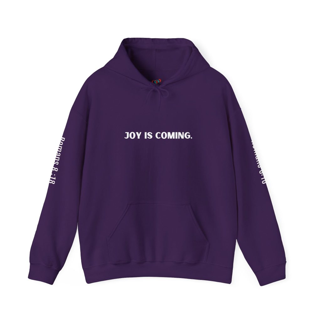 Religious Christian Hoodie, Bible Verse Sweatshirt, Inspirational Romans 8:18 Pullover, Faith-based Apparel, Christian Gift Idea,